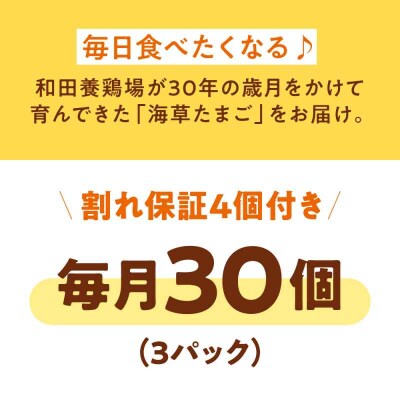 【全6回定期便】平飼い 海草たまご 3パック(30個入り)割れ保証あり [AGDQ006]