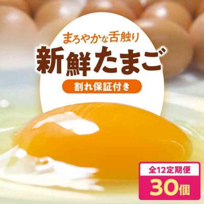 【全12回定期便】平飼い 海草たまご 3パック(30個入り)割れ保証あり [AGDQ007]