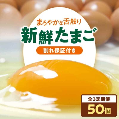 【全3回定期便】平飼い 海草たまご 5パック(50個入り)割れ保証あり [AGDQ008]