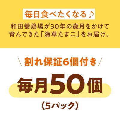 【全3回定期便】平飼い 海草たまご 5パック(50個入り)割れ保証あり [AGDQ008]