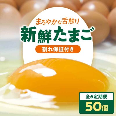 【全6回定期便】平飼い 海草たまご 5パック(50個入り)割れ保証あり [AGDQ009]