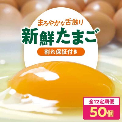 【全12回定期便】平飼い 海草たまご 5パック(50個入り)割れ保証あり [AGDQ010]