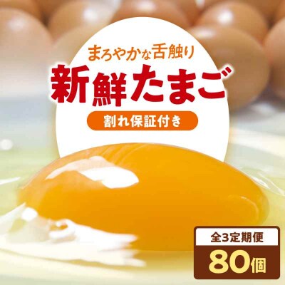 【全3回定期便】平飼い 海草たまご 8パック(80個入り)割れ保証あり [AGDQ011]
