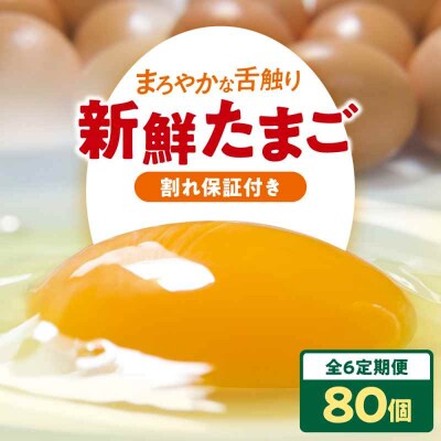 【全6回定期便】平飼い 海草たまご 8パック(80個入り)割れ保証あり [AGDQ012]