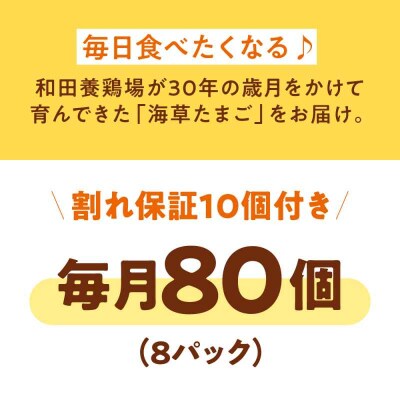 【全6回定期便】平飼い 海草たまご 8パック(80個入り)割れ保証あり [AGDQ012]