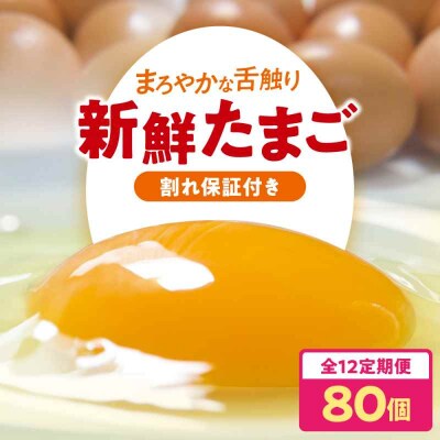 【全12回定期便】平飼い 海草たまご 8パック(80個入り)割れ保証あり [AGDQ013]