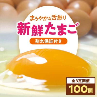 【全3回定期便】平飼い 海草たまご 10パック(100個入り)割れ保証あり [AGDQ014]