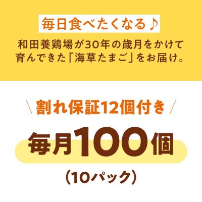 【全3回定期便】平飼い 海草たまご 10パック(100個入り)割れ保証あり [AGDQ014]
