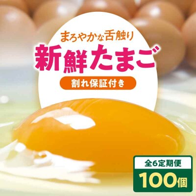 【全6回定期便】平飼い 海草たまご 10パック(100個入り)割れ保証あり [AGDQ015]