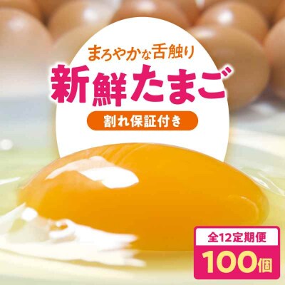 【全12回定期便】平飼い 海草たまご 10パック(100個入り)割れ保証あり [AGDQ016]