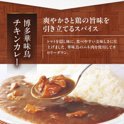 博多華味鳥 チキンカレー10食 [AGDT008]