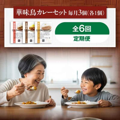 【全6回定期便】博多華味鳥 カレーセット3食入り [AGDT019]