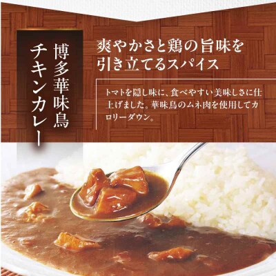 【全6回定期便】博多華味鳥 チキンカレー10食 [AGDT028]