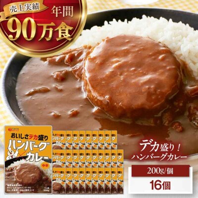 ハンバーグカレーセット 16食入り [AGDT030]