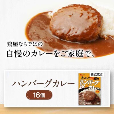 ハンバーグカレーセット 16食入り [AGDT030]