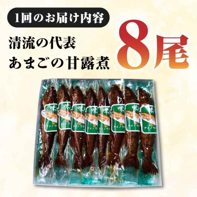 【全6回定期便】これぞ贅沢!美味しさをまるごと閉じ込めた「あまごの甘露煮」8尾 [AGBM078]