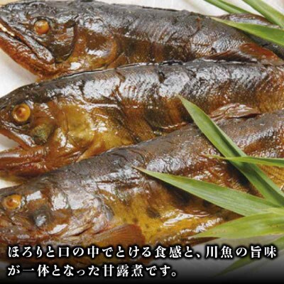 【全12回定期便】これぞ贅沢!美味しさをまるごと閉じ込めた「あまごの甘露煮」8尾 [AGBM079]