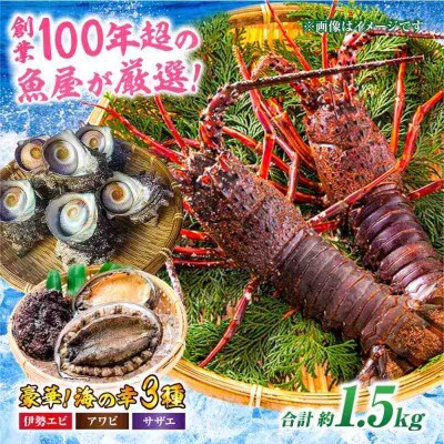 豪華天然魚介3種セット!(イセエビ約300g・アワビ約200g・サザエ約1kg) [AGBP005]