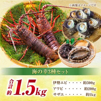 豪華天然魚介3種セット!(イセエビ約300g・アワビ約200g・サザエ約1kg) [AGBP005]