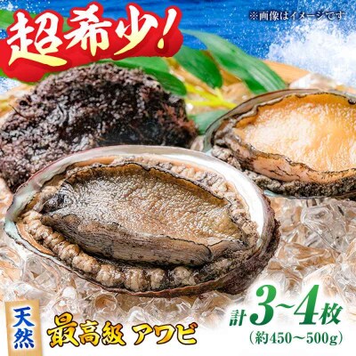 「瀬戸内海産天然活きアワビ3から4枚セット」 [AGBP007]
