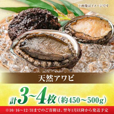 「瀬戸内海産天然活きアワビ3から4枚セット」 [AGBP007]