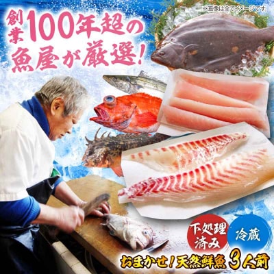 【下処理済み・冷蔵】 おまかせ!天然鮮魚3人前 [AGBP008]