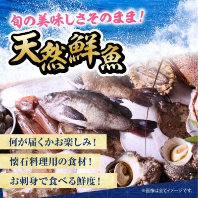 【下処理済み・冷蔵】 おまかせ!天然鮮魚3人前 [AGBP008]