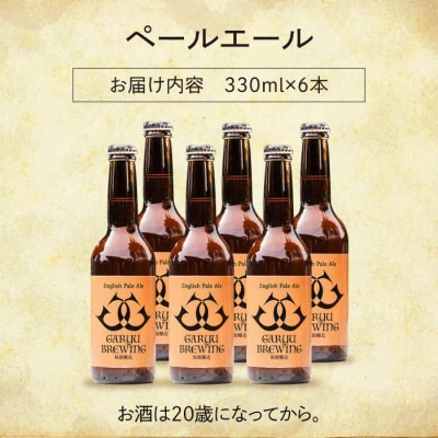 産地直送!ご当地ビール!臥龍クラフトビール(臥龍ペールエール)計6本 [AGAY003]