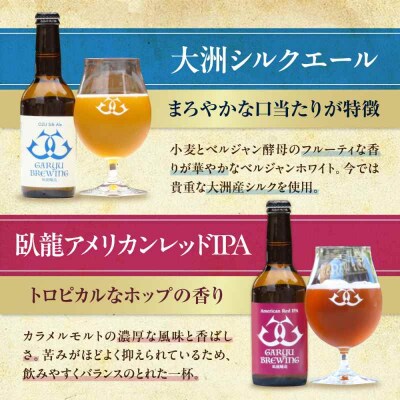 【全3回定期便】【金賞セット】臥龍クラフトビール 計4本 [AGAY035]