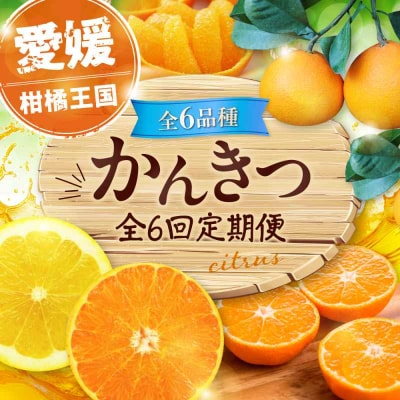 【全6回定期便】【先行受付】【11月以降毎月発送】えひめかんきつ定期便 [AGDN001]