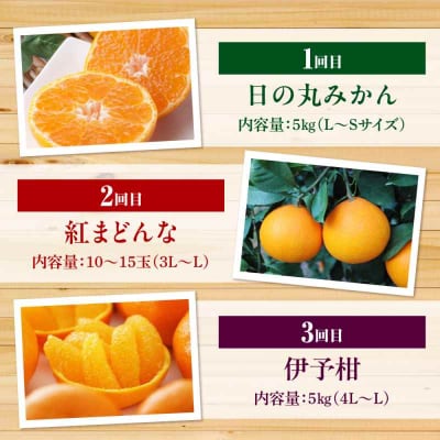 【全6回定期便】【先行受付】【11月以降毎月発送】えひめかんきつ定期便 [AGDN001]