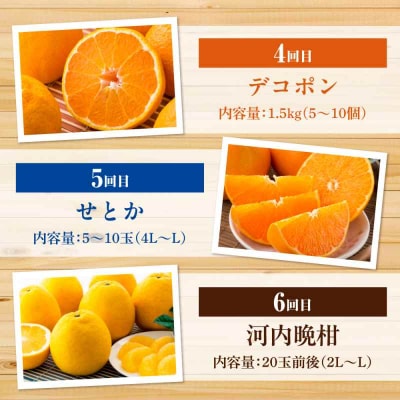 【全6回定期便】【先行受付】【11月以降毎月発送】えひめかんきつ定期便 [AGDN001]