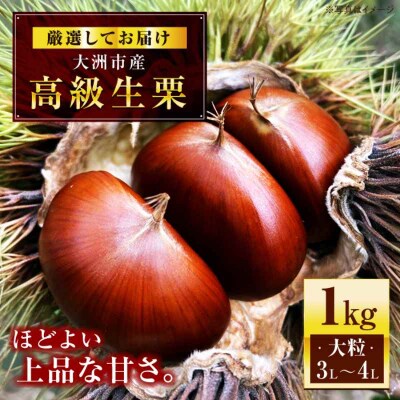 【先行受付】【9月下旬より順次発送】あじさい農園の高級生栗(1kg)[AGAE007]
