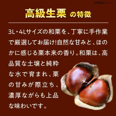 【先行受付】【9月下旬より順次発送】あじさい農園の高級生栗(1kg)[AGAE007]