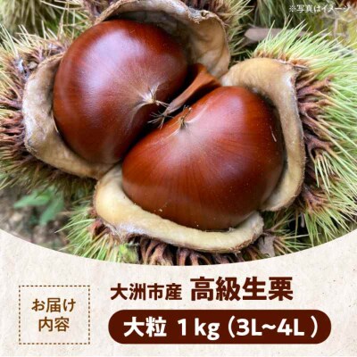 【先行受付】【9月下旬より順次発送】あじさい農園の高級生栗(1kg)[AGAE007]