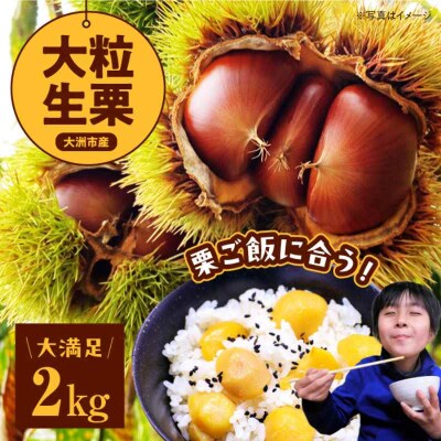 【先行受付】【9月下旬より順次発送】愛媛県産高級和栗 大粒生栗 2kg [AGAE008]