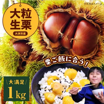 【先行受付】【9月下旬より順次発送】愛媛県産高級和栗 大粒生栗 1kg [AGAE009]