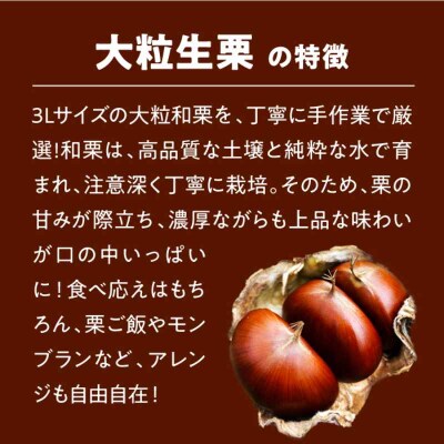 【先行受付】【9月下旬より順次発送】愛媛県産高級和栗 大粒生栗 1kg [AGAE009]