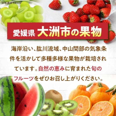 【先行受付】【9月下旬より順次発送】愛媛県産高級和栗 大粒生栗 1kg [AGAE009]