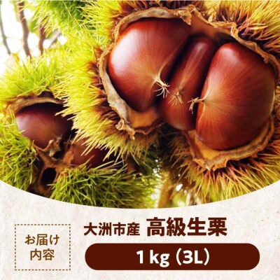 【先行受付】【9月下旬より順次発送】愛媛県産高級和栗 大粒生栗 1kg [AGAE009]