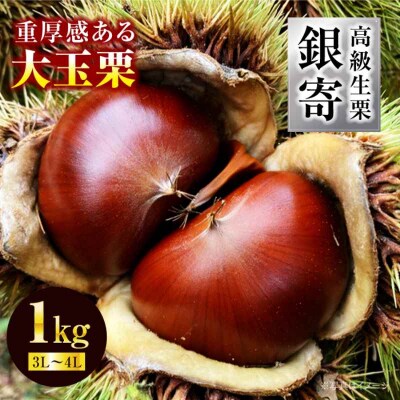 【先行受付】【9月下旬より順次発送】あじさい農園の高級生栗 銀寄 1kg [AGAE010]