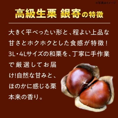 【先行受付】【9月下旬より順次発送】あじさい農園の高級生栗 銀寄 1kg [AGAE010]