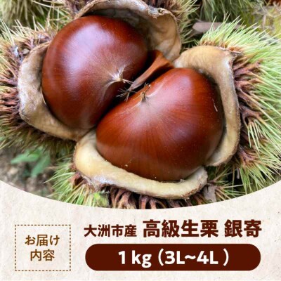 【先行受付】【9月下旬より順次発送】あじさい農園の高級生栗 銀寄 1kg [AGAE010]
