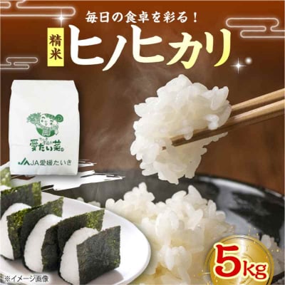 つやつや!冷めても変わらぬ美味しさのお米!ヒノヒカリ(精米)5kg [AGAP008]