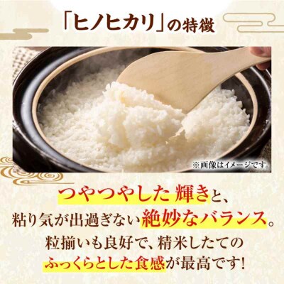 つやつや!冷めても変わらぬ美味しさのお米!ヒノヒカリ(精米)10kg [AGAP009]