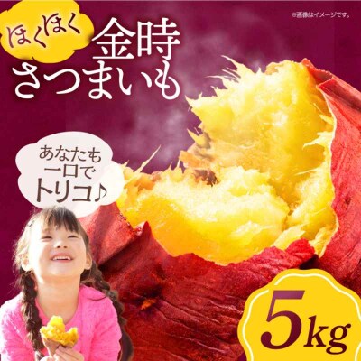 【先行受付】【8月中旬から順次発送】さつまいも(金時)5kg [AGAP012]