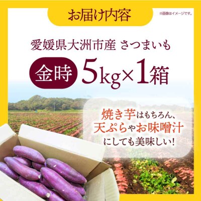 【先行受付】【8月中旬から順次発送】さつまいも(金時)5kg [AGAP012]