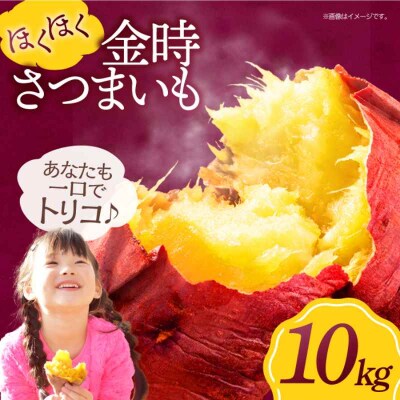 【先行受付】【8月中旬から順次発送】さつまいも(金時)10kg [AGAP013]