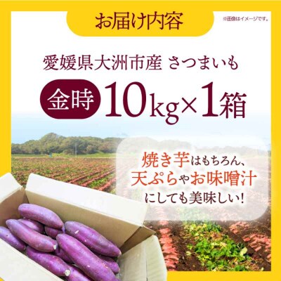 【先行受付】【8月中旬から順次発送】さつまいも(金時)10kg [AGAP013]