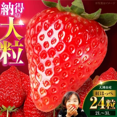 【先行受付】【1月上旬から順次発送】食べる宝石 紅ほっぺ 24粒 1箱[AGAR001]